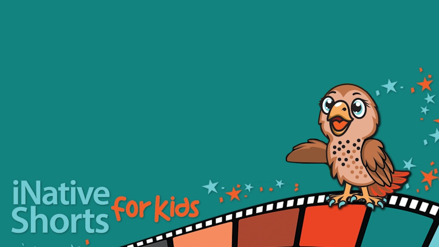 iNative Shorts for Kids